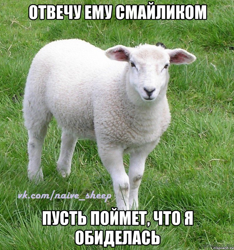 отвечу ему смайликом пусть поймет, что я обиделась, Мем Овца Наивная