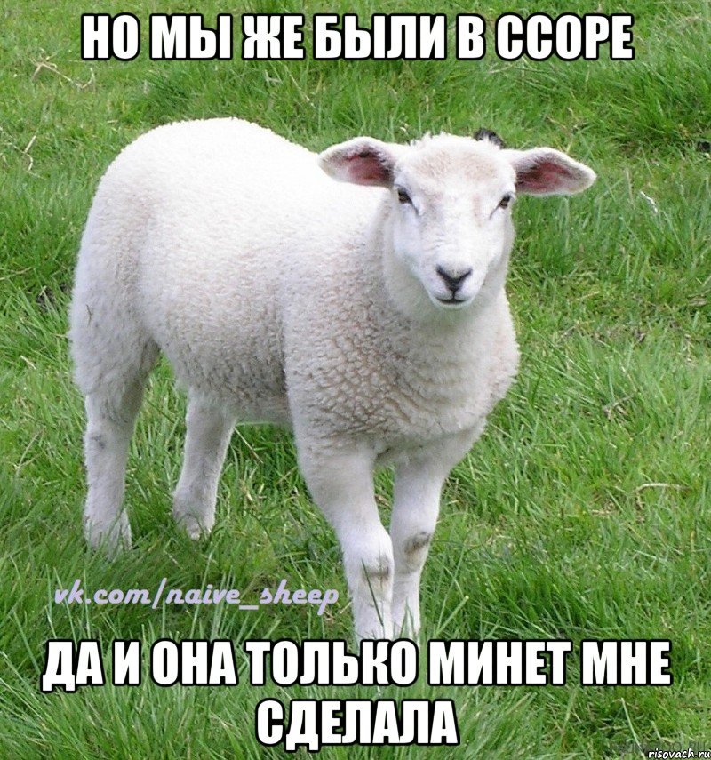 но мы же были в ссоре да и она только минет мне сделала, Мем Овца Наивная
