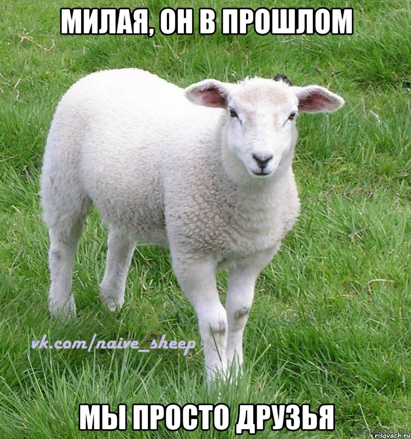 милая, он в прошлом мы просто друзья