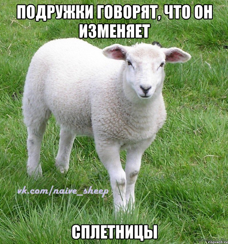 подружки говорят, что он изменяет сплетницы