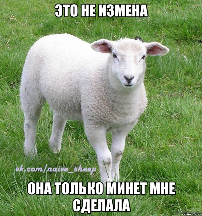 это не измена она только минет мне сделала