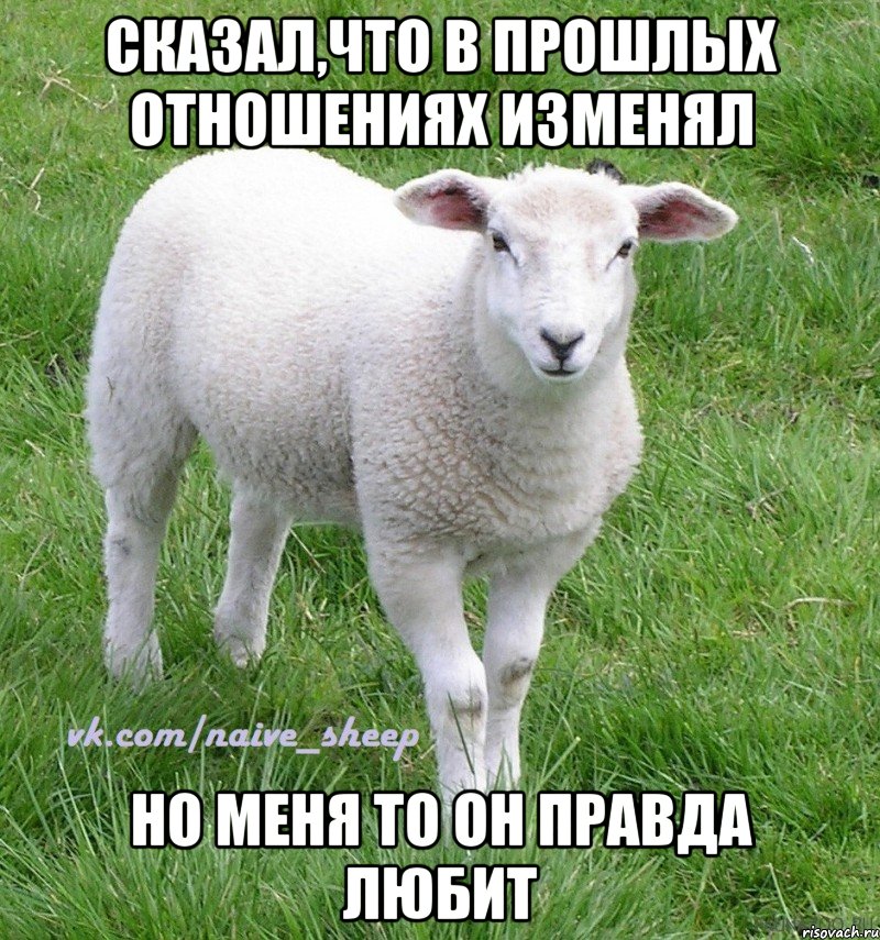 Сказал,что в прошлых отношениях изменял Но меня то он правда любит, Мем Овца Наивная
