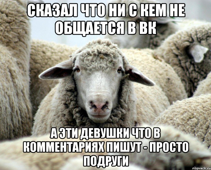 Сказал что ни с кем не общается в ВК А эти девушки что в комментариях пишут - просто подруги, Мем овечка