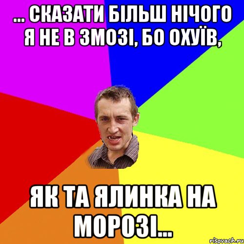 ... сказати більш нічого я не в змозі, бо охуїв, як та ялинка на морозі..., Мем Чоткий паца