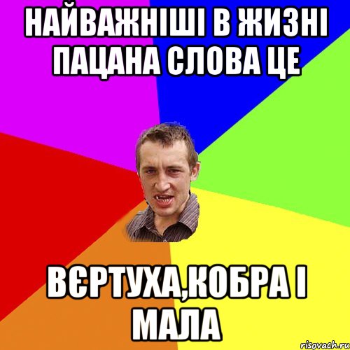 Найважніші в жизні пацана слова це Вєртуха,кобра і мала, Мем Чоткий паца