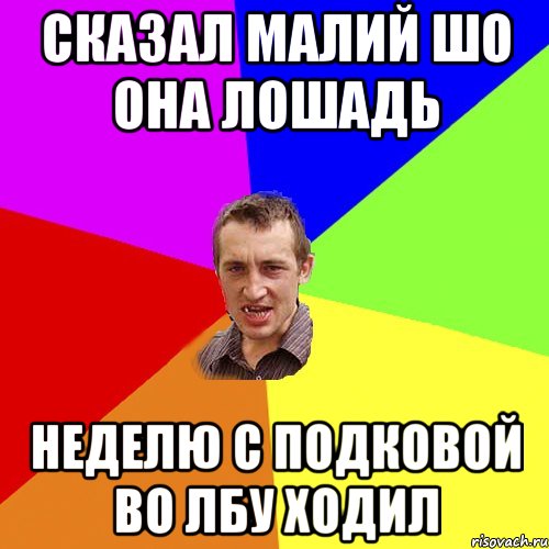 сказал малий шо она лошадь неделю с подковой во лбу ходил, Мем Чоткий паца