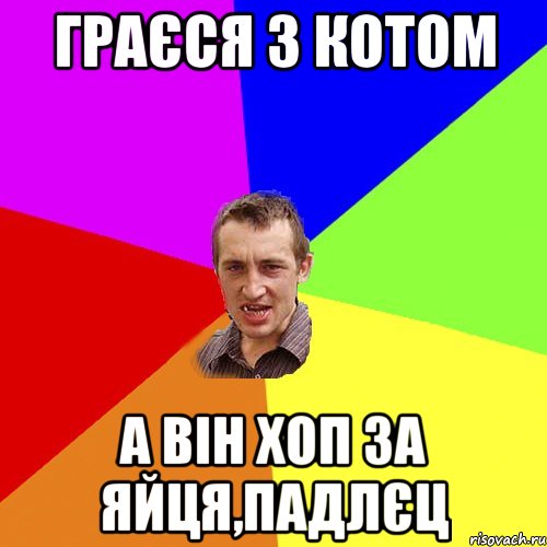 граєся з котом а він хоп за яйця,падлєц, Мем Чоткий паца