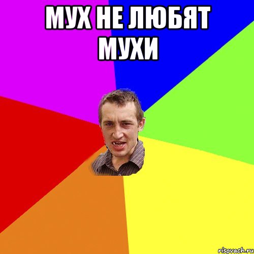 мух не любят мухи , Мем Чоткий паца