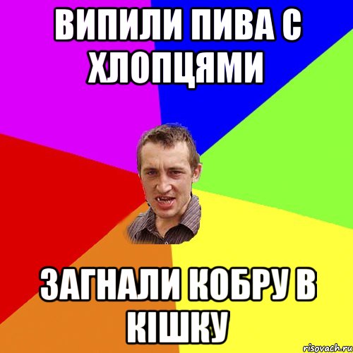 випили пива с хлопцями загнали кобру в кішку, Мем Чоткий паца