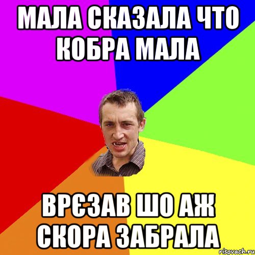 Мала сказала что кобра мала Врєзав шо аж скора забрала, Мем Чоткий паца