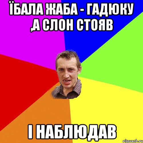 Їбала жаба - гадюку ,а слон стояв і наблюдав, Мем Чоткий паца