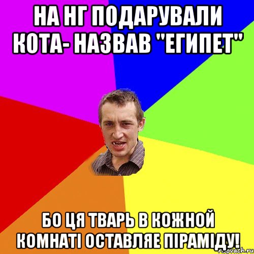 На НГ подарували кота- назвав "ЕГИПЕТ" Бо ця тварь в кожной комнаті оставляе піраміду!, Мем Чоткий паца