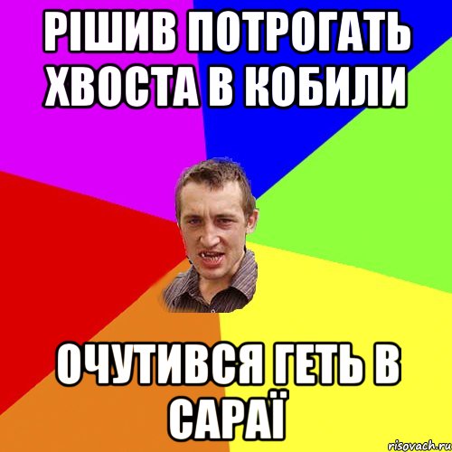 Рішив потрогать хвоста в кобили Очутився геть в сараї, Мем Чоткий паца