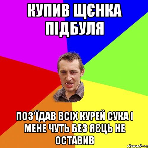 Купив щєнка підбуля поз'їдав всіх курей сука і мене чуть без яєць не оставив, Мем Чоткий паца