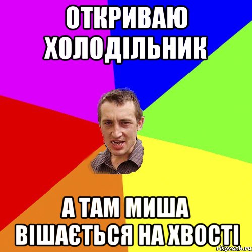 Откриваю холодільник А там миша вішається на хвості, Мем Чоткий паца