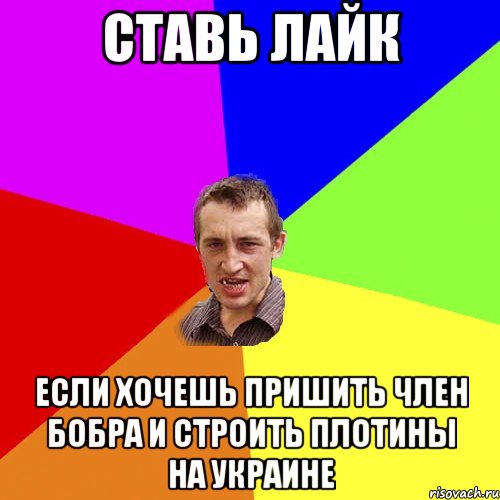 Ставь лайк Если хочешь пришить член бобра и строить плотины на Украине, Мем Чоткий паца