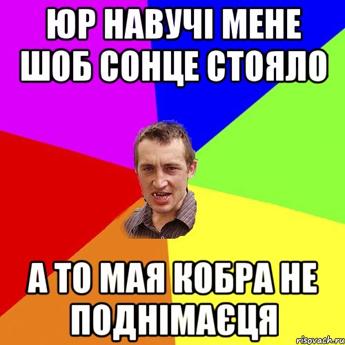 юр навучі мене шоб сонце стояло а то мая кобра не поднімаєця, Мем Чоткий паца