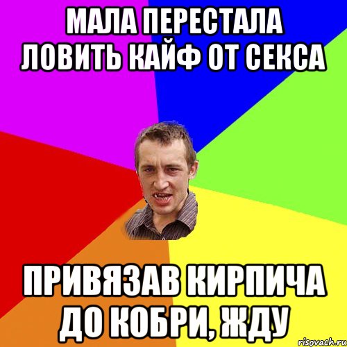 Мала перестала ловить кайф от секса Привязав кирпича до кобри, жду, Мем Чоткий паца