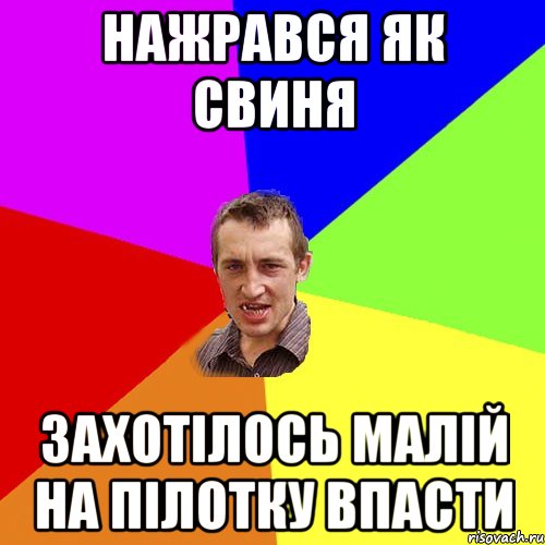 Нажрався як свиня Захотілось малій на пілотку впасти, Мем Чоткий паца