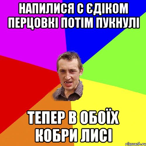 напилися с єдіком перцовкі потім пукнулі тепер в обоїх кобри лисі, Мем Чоткий паца