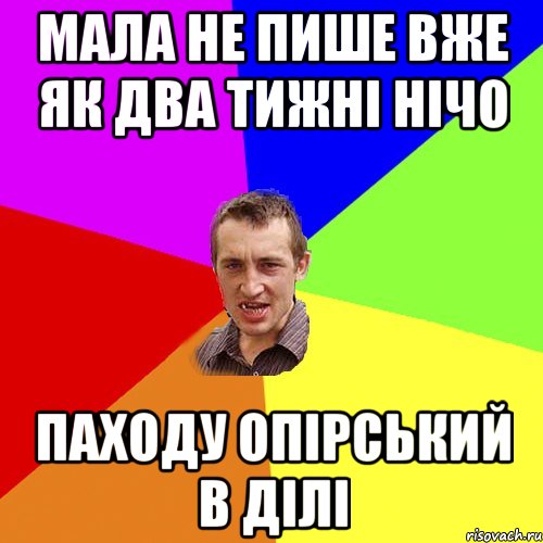 мала не пише вже як два тижні нічо паходу Опірський в ділі, Мем Чоткий паца