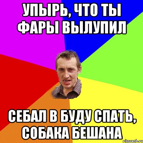 упырь, что ты фары вылупил себал в буду спать, собака бешана, Мем Чоткий паца