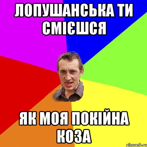 Лопушанська ти смієшся як моя покійна коза, Мем Чоткий паца