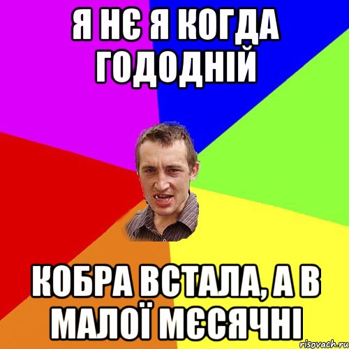 я нє я когда гододній кобра встала, а в малої мєсячні, Мем Чоткий паца