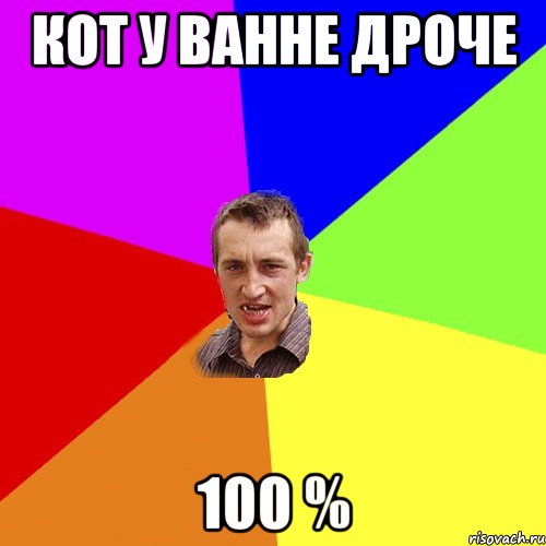 Кот у ванне дроче 100 %, Мем Чоткий паца