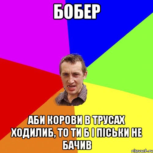 БОБЕР Аби корови в трусах ходилиб, То ти б і піськи не бачив, Мем Чоткий паца