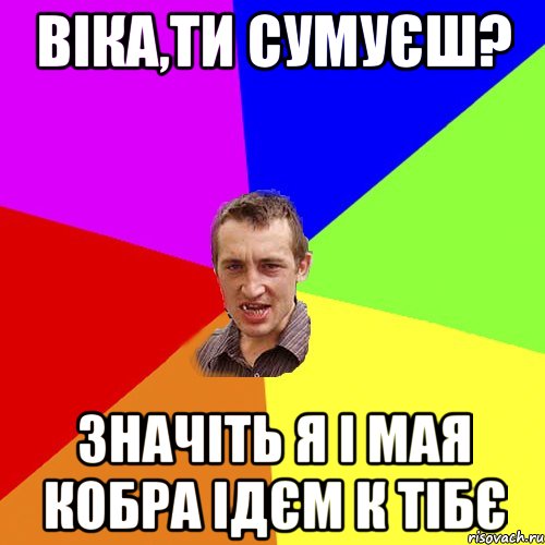 Віка,ти сумуєш? Значіть я і мая кобра ідєм к тібє, Мем Чоткий паца