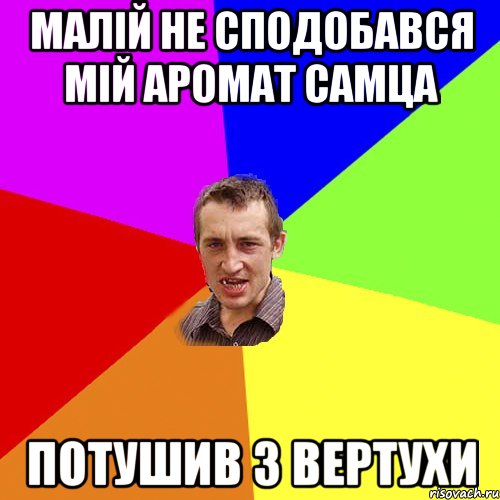 Малій не сподобався мій аромат самца Потушив з вертухи, Мем Чоткий паца