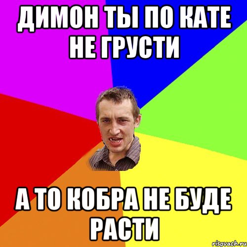 ДИМОН ТЫ ПО КАТЕ НЕ ГРУСТИ А ТО КОБРА НЕ БУДЕ РАСТИ, Мем Чоткий паца
