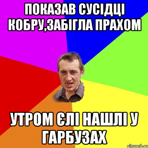 Показав сусідці кобру,забігла прахом утром єлі нашлі у гарбузах, Мем Чоткий паца