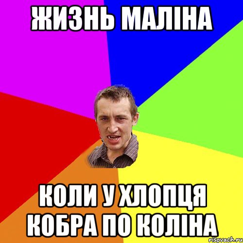 Жизнь маліна коли у хлопця кобра по коліна, Мем Чоткий паца