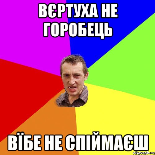 вєртуха не горобець вїбе не спіймаєш, Мем Чоткий паца