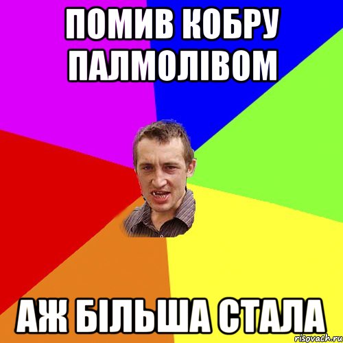 Помив кобру Палмолівом Аж більша стала, Мем Чоткий паца