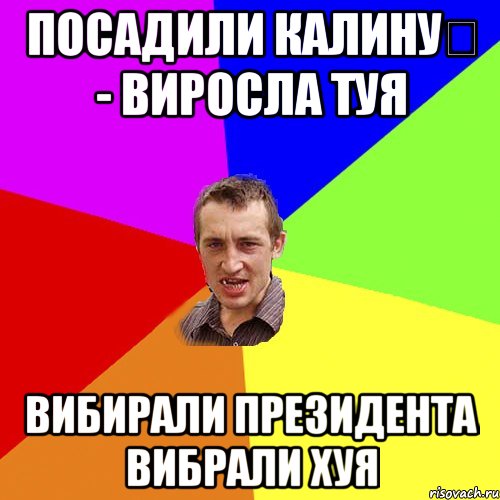 ПОСАДИЛИ КАЛИНУ﻿ - ВИРОСЛА ТУЯ ВИБИРАЛИ ПРЕЗИДЕНТА ВИБРАЛИ ХУЯ, Мем Чоткий паца