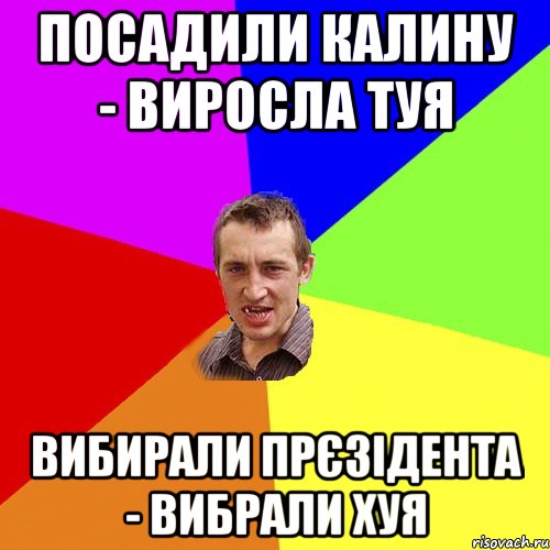 ПОСАДИЛИ КАЛИНУ - ВИРОСЛА ТУЯ ВИБИРАЛИ ПРЄЗІДЕНТА - ВИБРАЛИ ХУЯ, Мем Чоткий паца