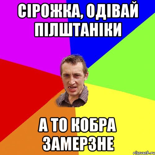 Сірожка, одівай пілштаніки а то кобра замерзне, Мем Чоткий паца