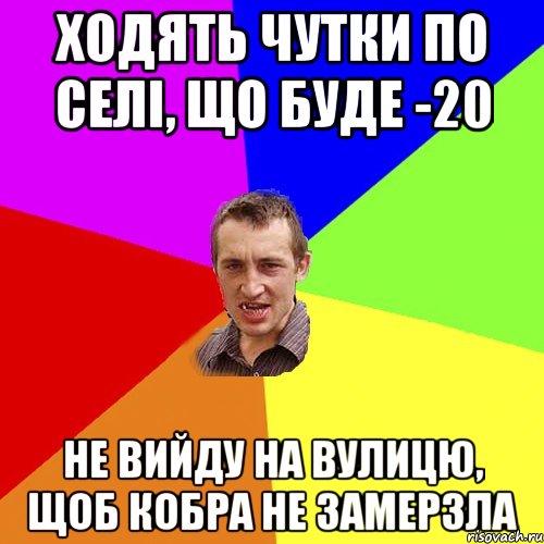 Ходять чутки по селі, що буде -20 Не вийду на вулицю, щоб кобра не замерзла, Мем Чоткий паца