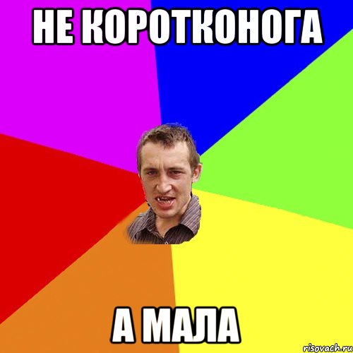 Не коротконога а мала, Мем Чоткий паца
