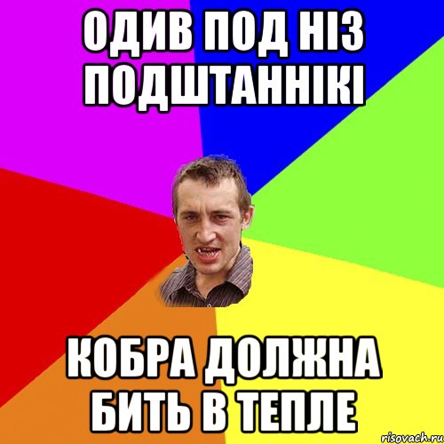 Одив под ніз подштаннікі кобра должна бить в тепле, Мем Чоткий паца