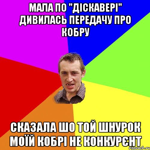 мала по "діскавері" дивилась передачу про кобру сказала шо той шнурок моїй кобрі не конкурєнт, Мем Чоткий паца