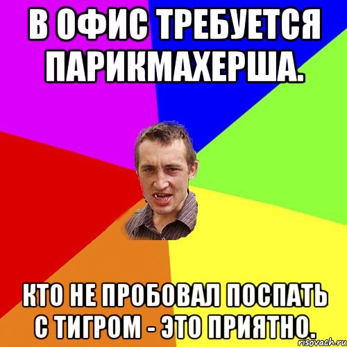 В офис требуется парикмахерша. Кто не пробовал поспать с ТИГРОМ - это приятно., Мем Чоткий паца