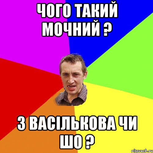 чого такий мочний ? з васількова чи шо ?, Мем Чоткий паца