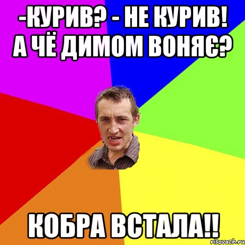 -Курив? - не курив! а чё димом воняє? кобра встала!!, Мем Чоткий паца