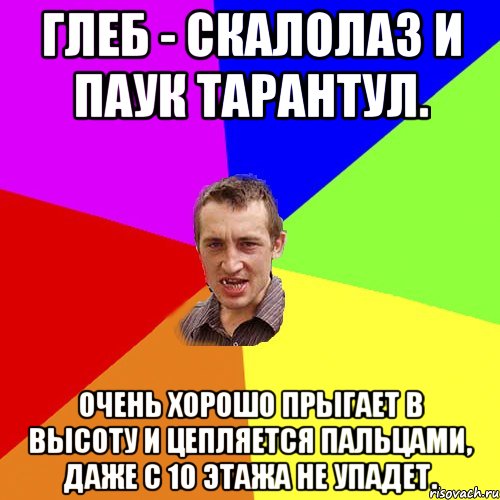 Глеб - скалолаз и паук тарантул. Очень хорошо прыгает в высоту и цепляется пальцами, даже с 10 этажа не упадет., Мем Чоткий паца