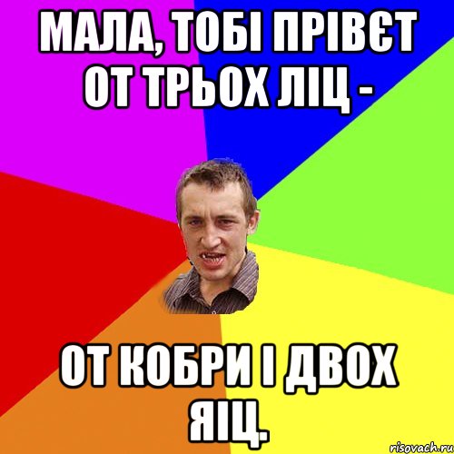 Мала, тобі прівєт от трьох ліц - от кобри і двох яіц., Мем Чоткий паца