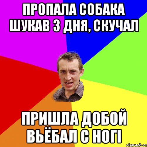 Пропала собака шукав 3 дня, скучал пришла добой вьёбал с ногi, Мем Чоткий паца